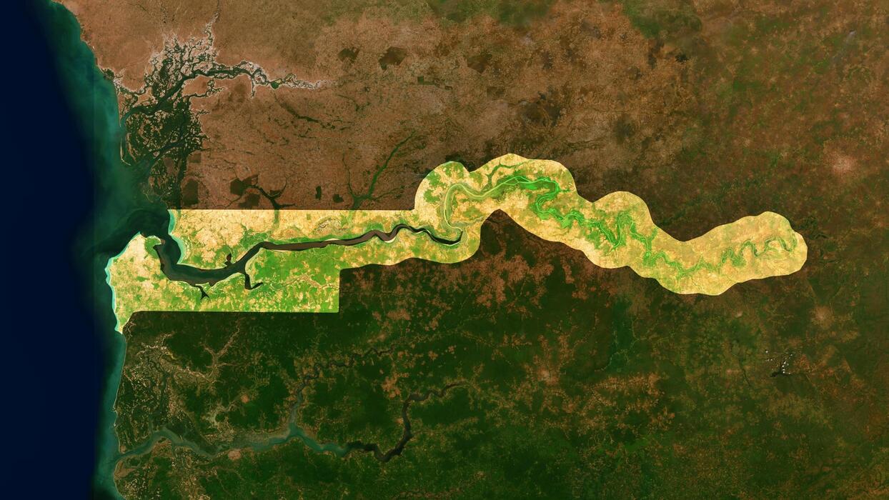 Aerial view of a winding river surrounded by lush green vegetation and contrasting dry land, showcasing the natural landscape.